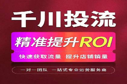 行业专家解析SEM代运营成功案例